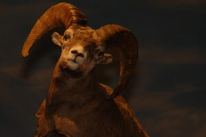 Sådan vinder du stort: 5 strategier til online casino