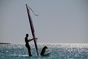 Paddleboard og Svømmevest: Sådan kombinerer du sikkerhed og sjov på vandet